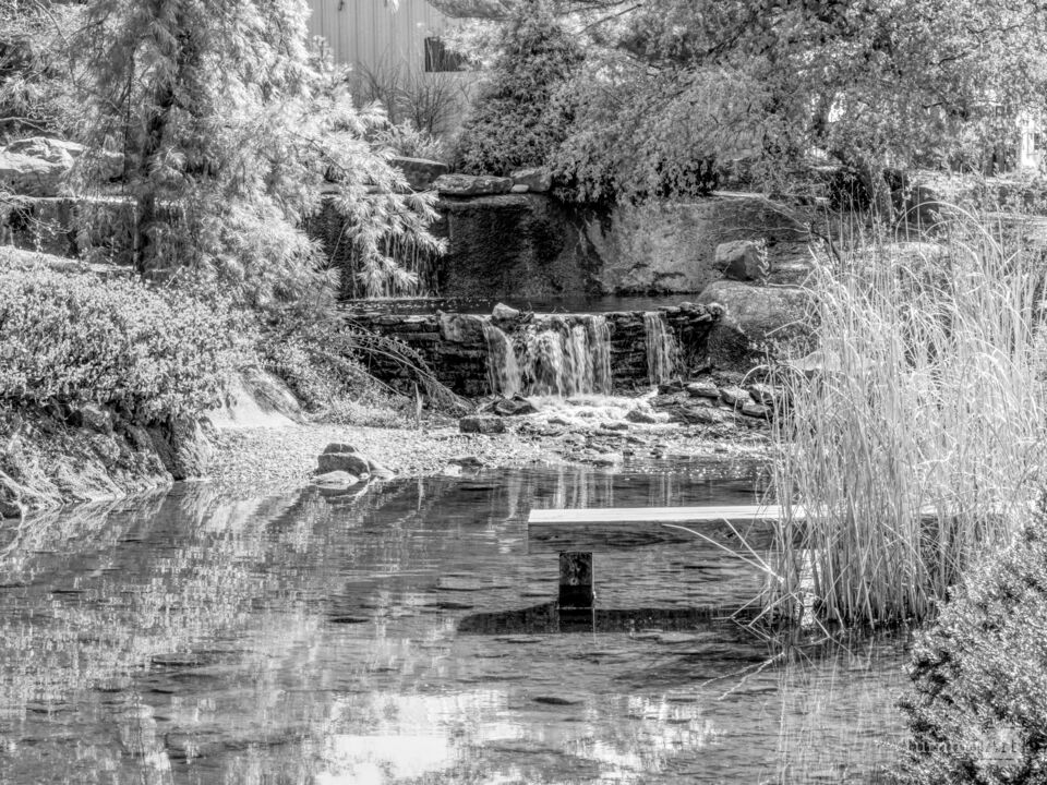 Flowing Falls At The Pond Grayscale