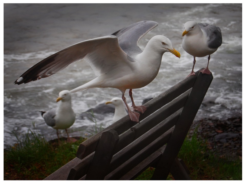 Admiring His New, Sleek Look