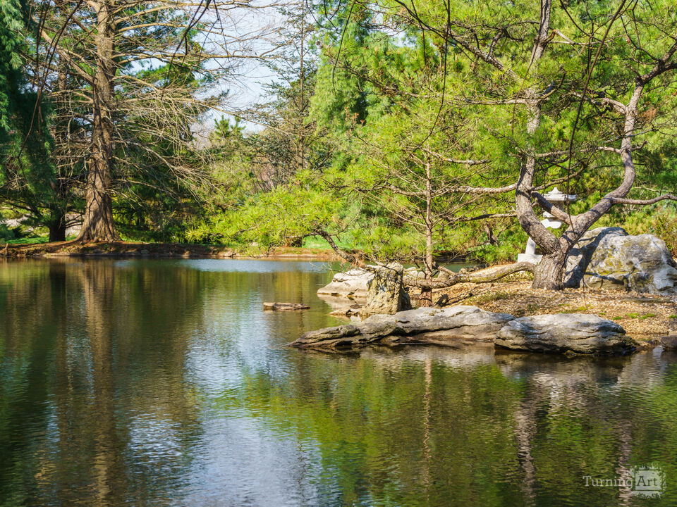 Lush Green Silence In Spring