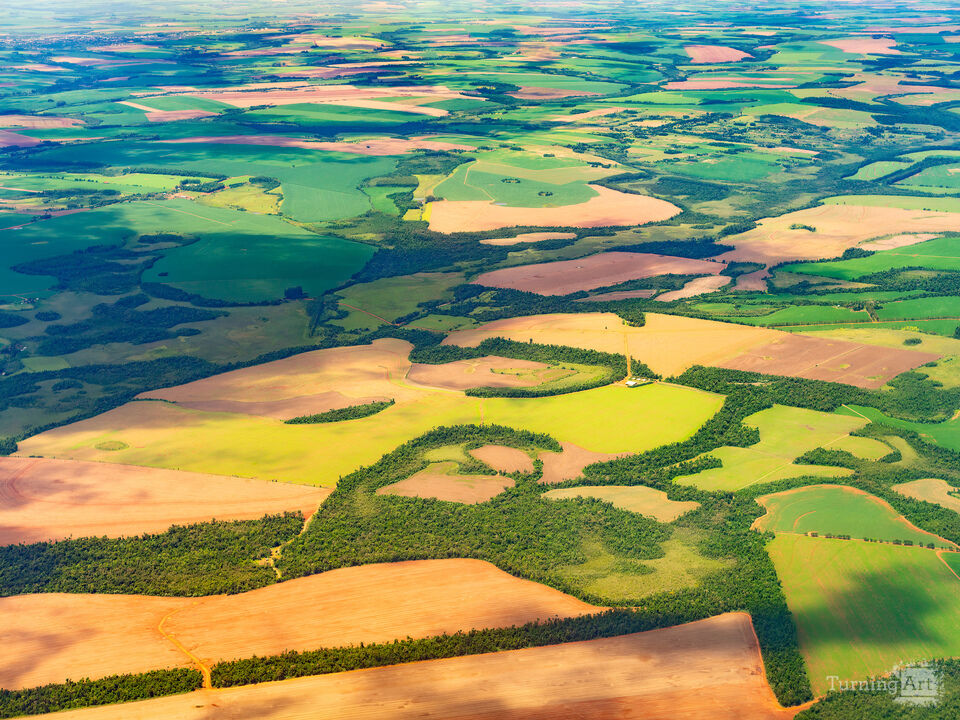 Farms in Paraguay.