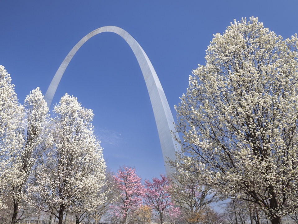 The Gateway Arch with Spring Blooms