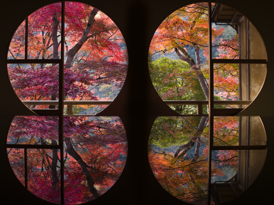 Autumn Windows
