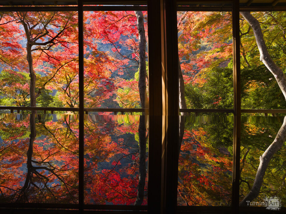 Windows on Autumn