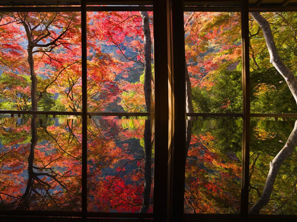 Windows on Autumn