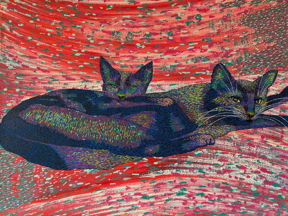 Brivido Cosmico and Cagliostro