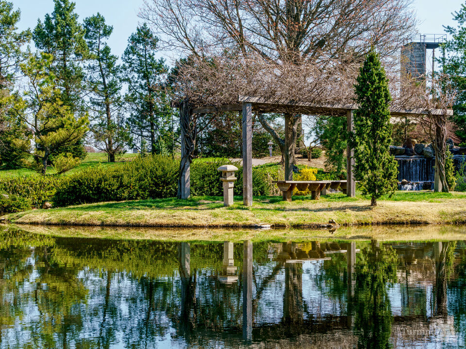Spring Season Arbor Pond Reflections