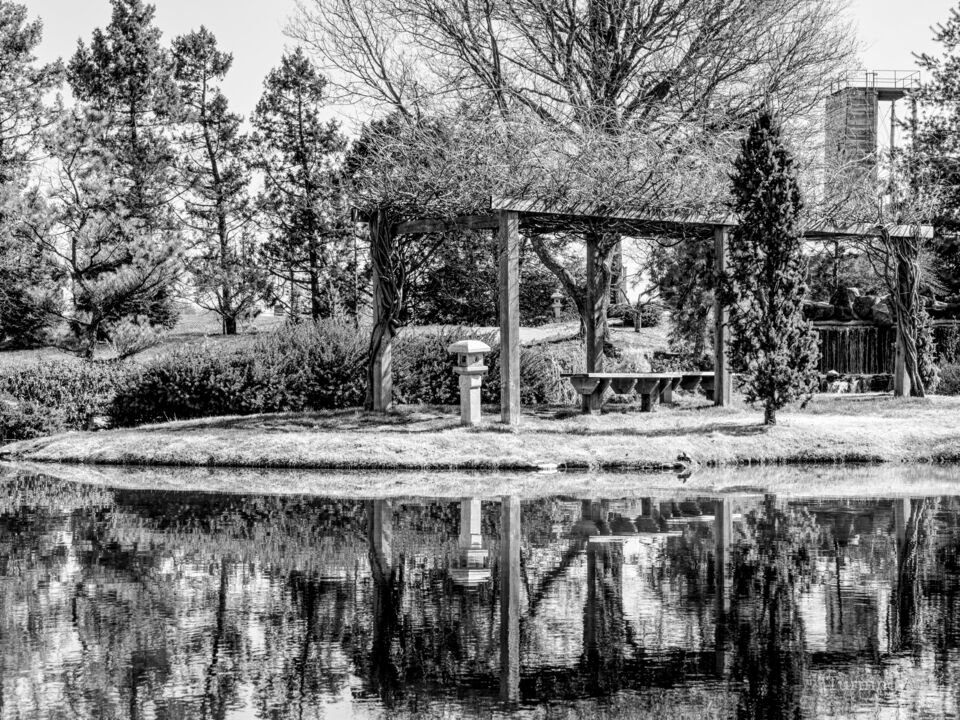 Spring Season Arbor Pond Reflections Grayscale