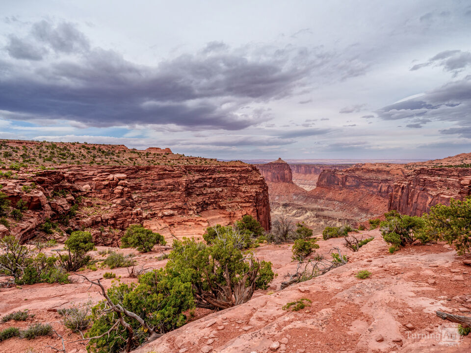 Wilhite Trail Canyonlands Overlook