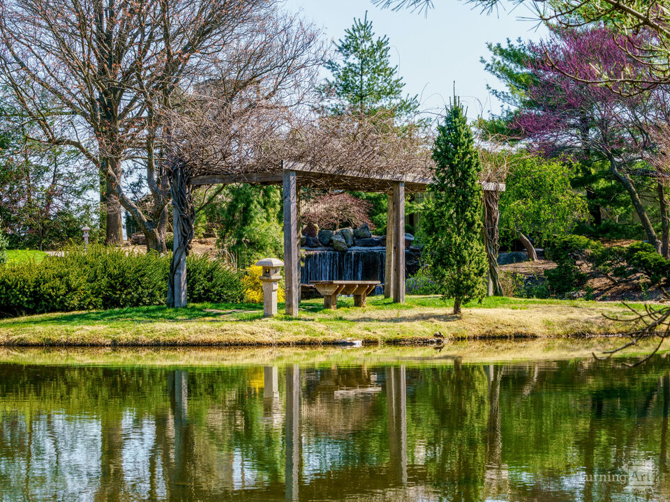 Reflections Beneath The Arbor
