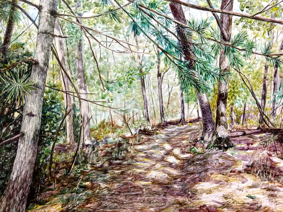 West Hills Nature Preserve