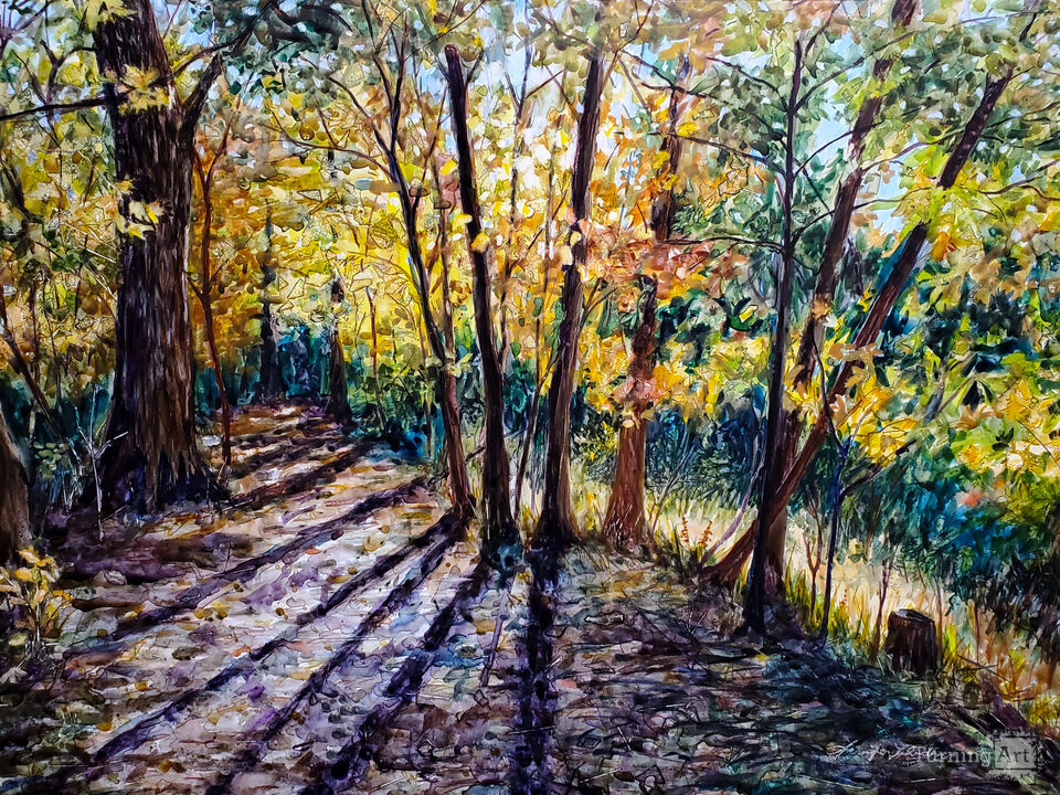 Hancock Woodlands