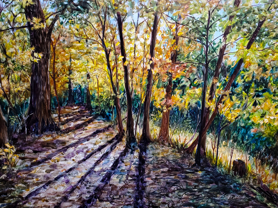 Hancock Woodlands
