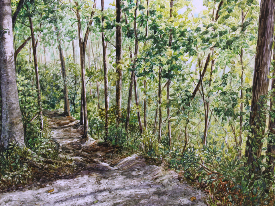 Litzenberg