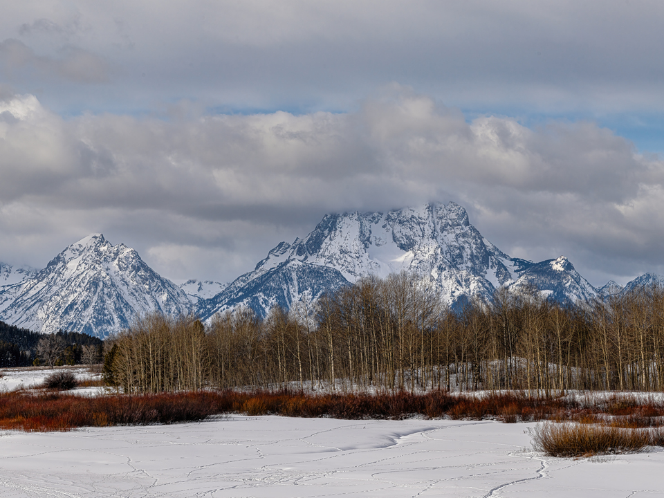 Winter Silence at Oxbow Bend Panorama