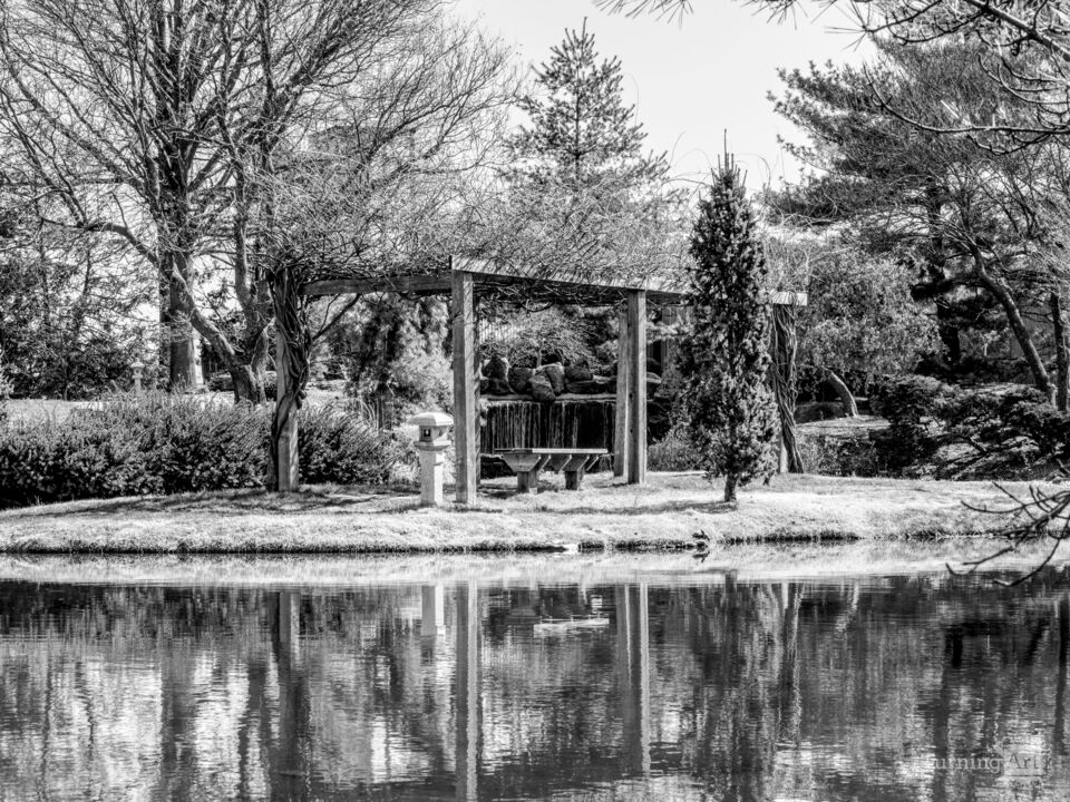 Reflections Beneath The Arbor Grayscale