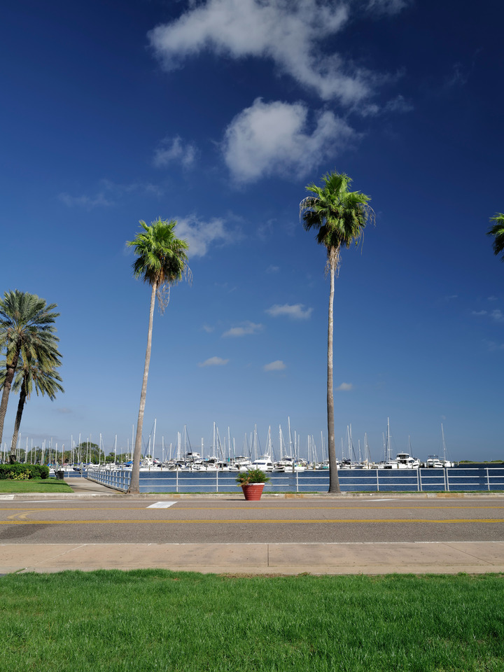 Palm Trees, Lawns and the St Pete's Marina