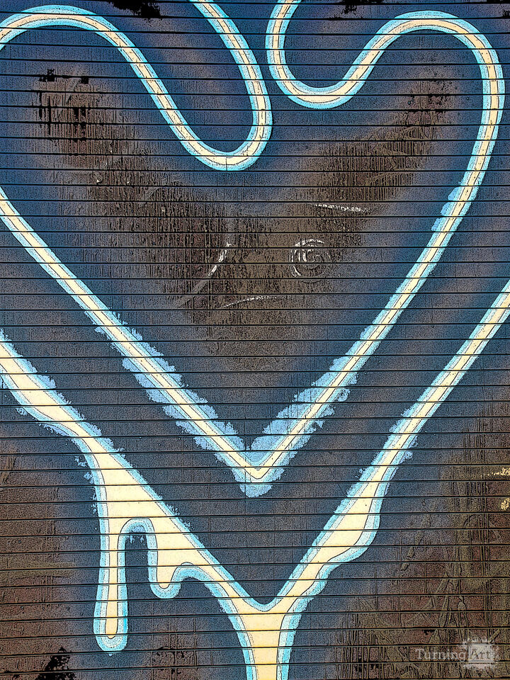 Neon Heart – Tampa Night Detail
