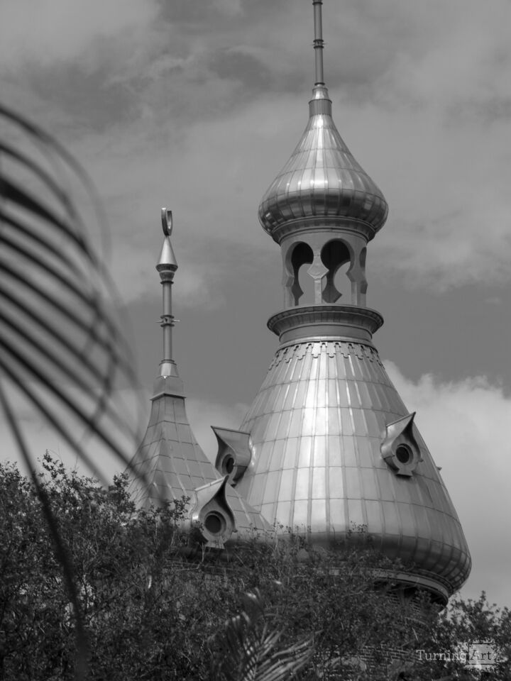 Plant Hall Architecture – Black & White Series