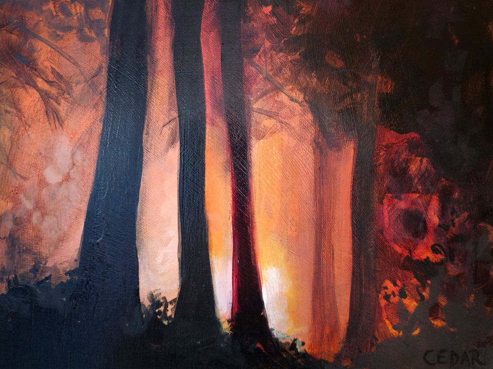 Lantern Light