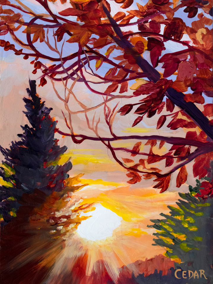Autumn Walk at Sunset