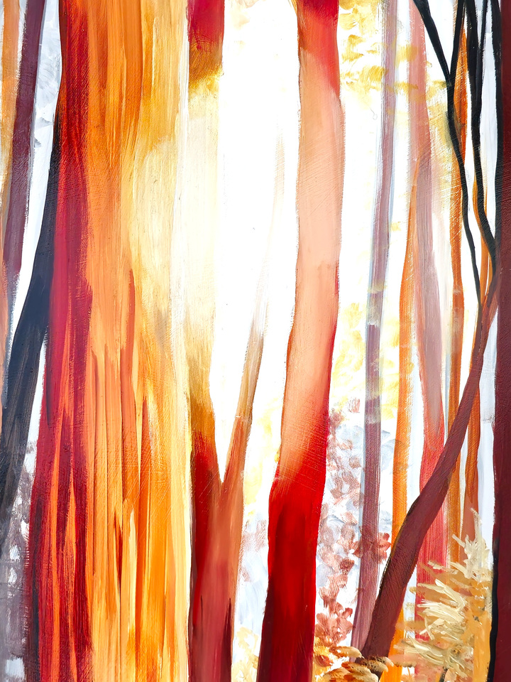 Orange Red Forest