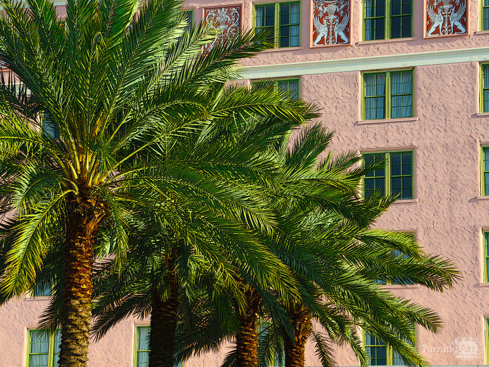 Palm and Vinoy Facade – St. Petersburg