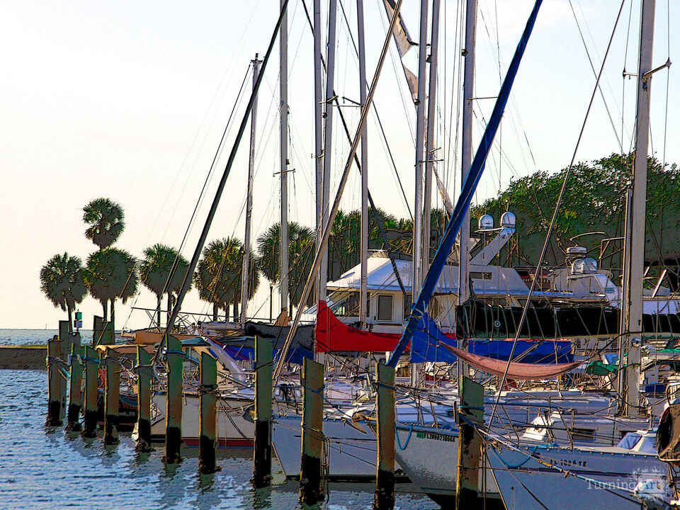 Sailboat Masts – St. Pete Pier Marina