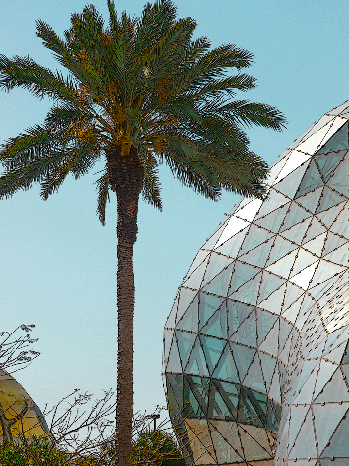 Palm and Dalí Museum – St. Petersburg