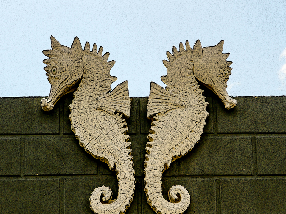 Seahorse Relief – Ybor City Detail