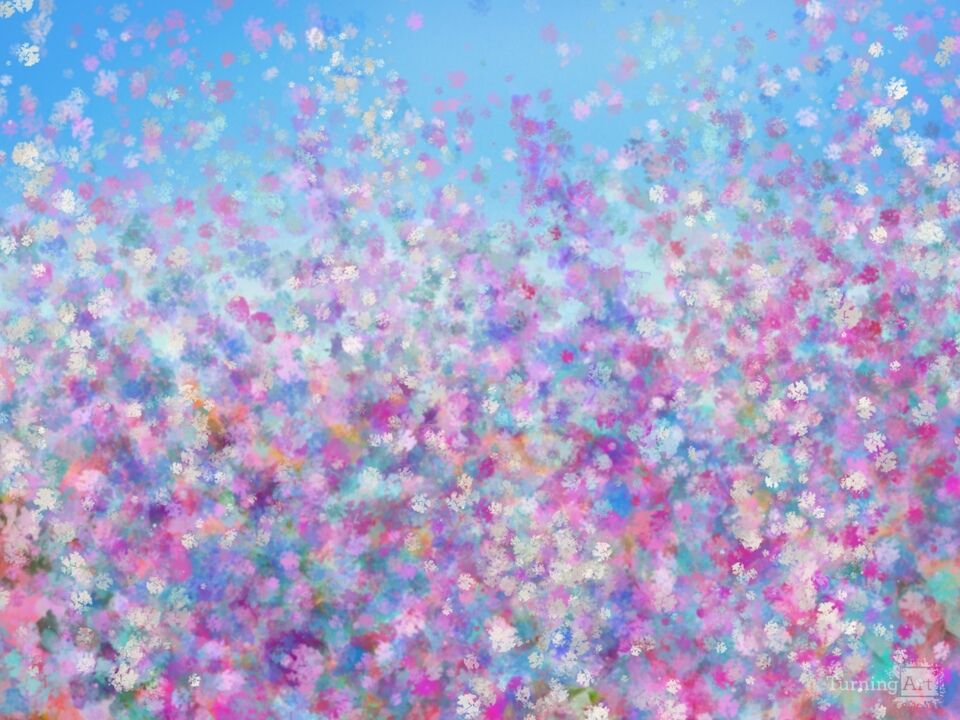 Field of Flowers 