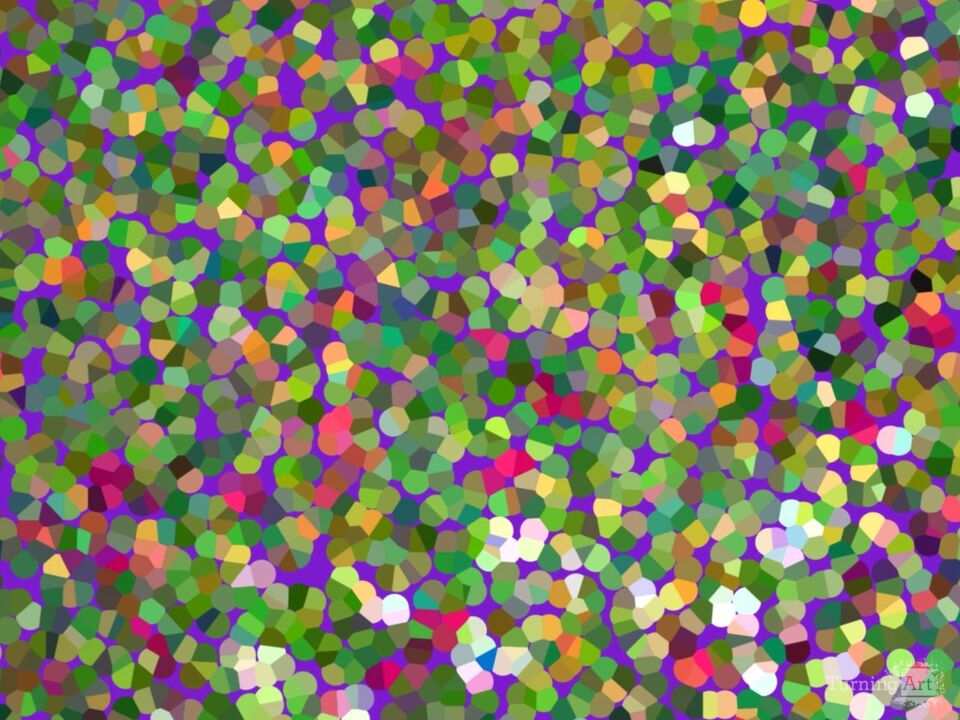 Abstract Wildflowers 