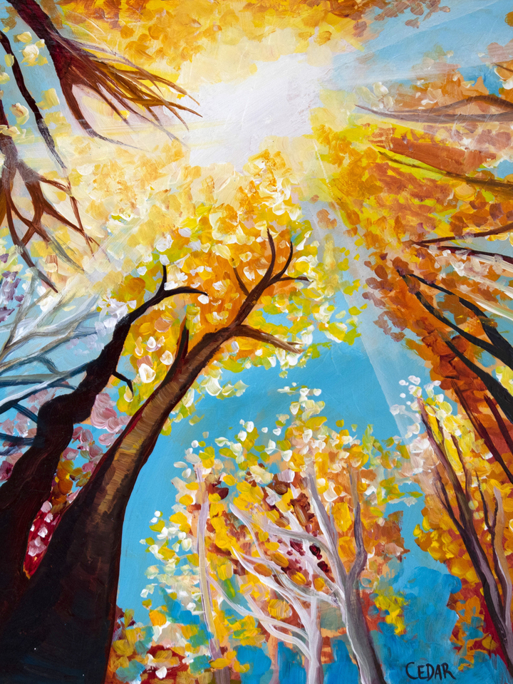 Autumn Light