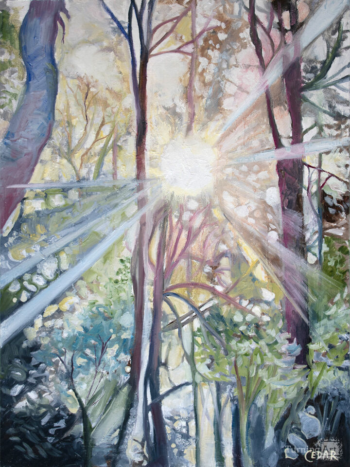 Gentle Sunbeams