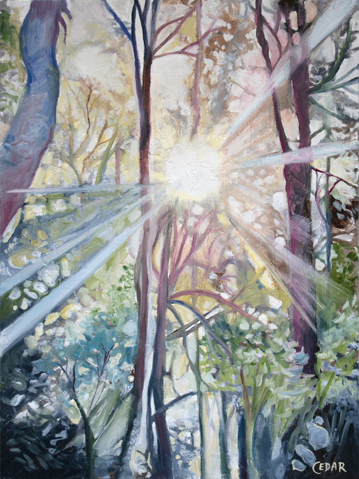 Gentle Sunbeams