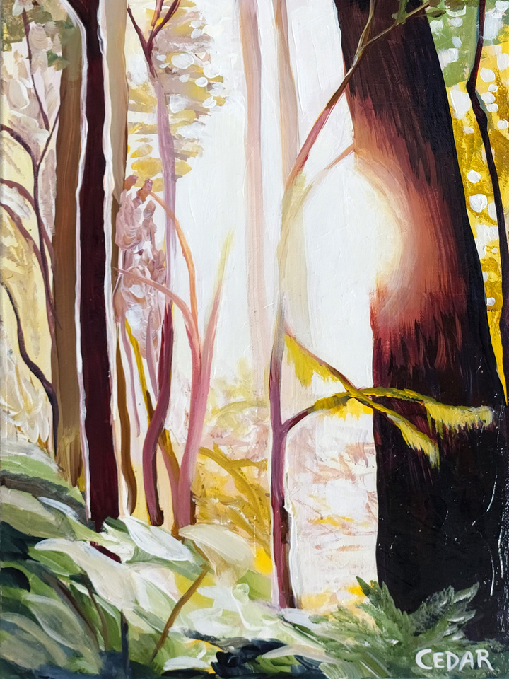 Wild Wood Sun