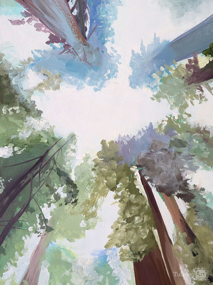 Winter Redwoods