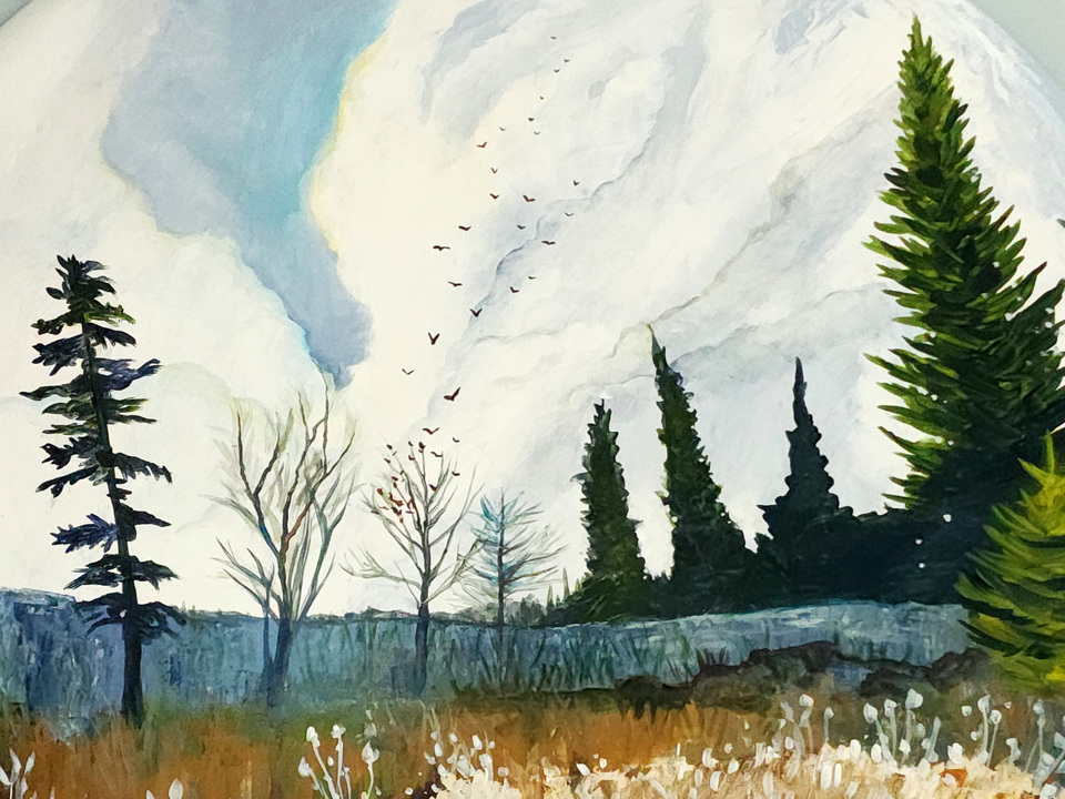 Field of Peace