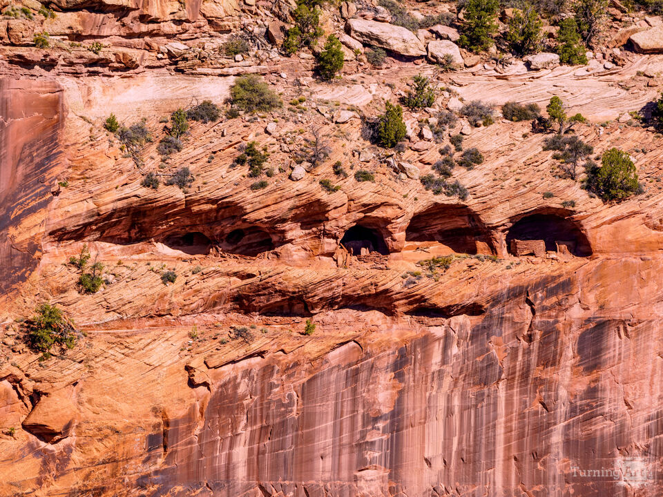 Canyon de Chelly Alcove Dwellings