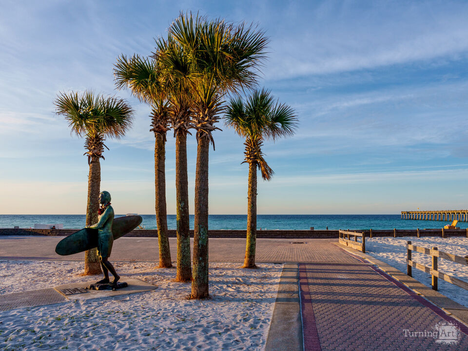 Palms And Pathways To The Gulf