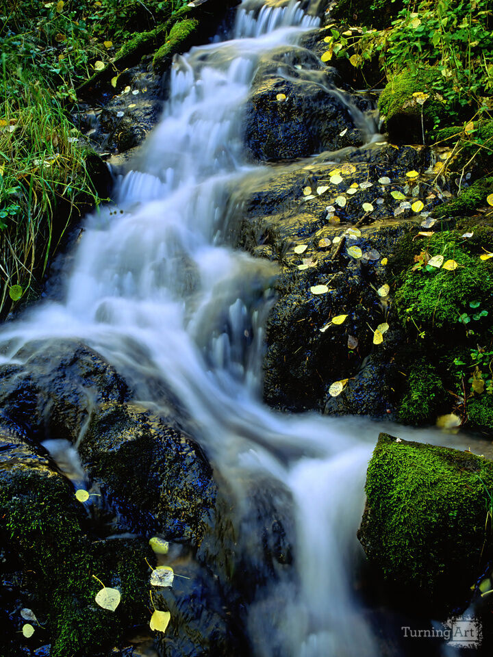Tesuque creek autumn
