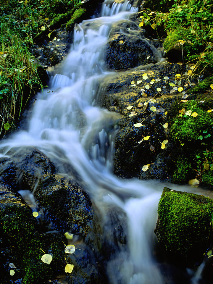Tesuque creek autumn