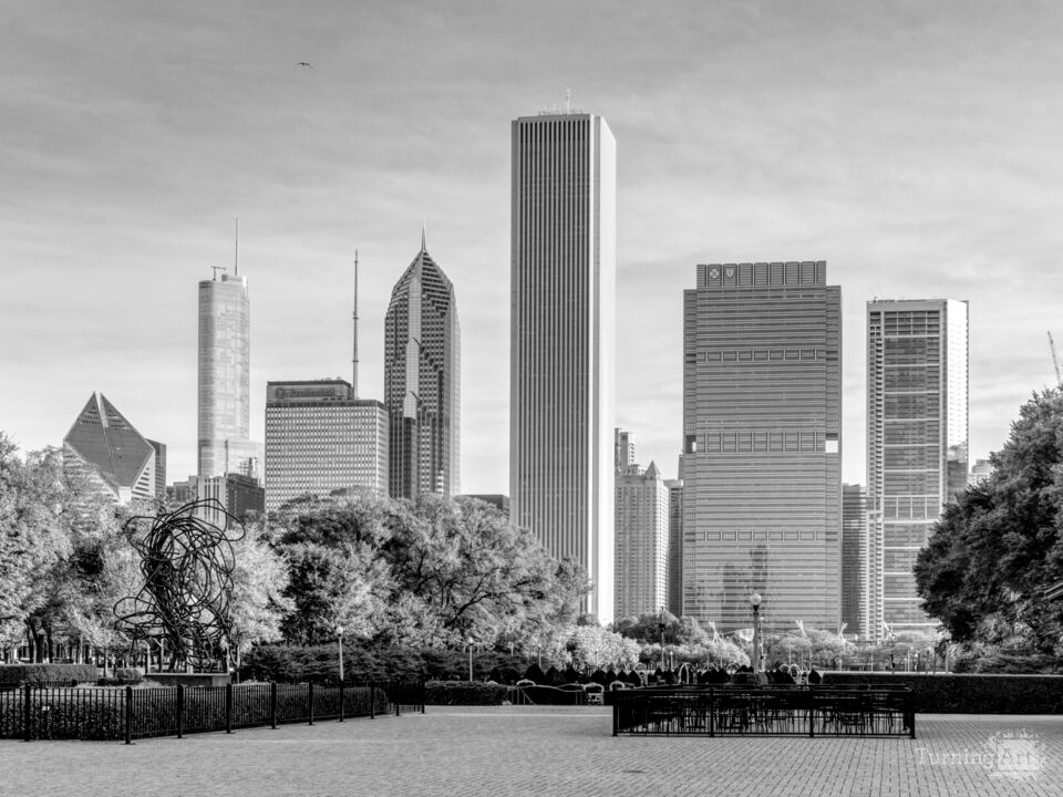 Quiet Downtown Chicago Morning In The City Grayscale