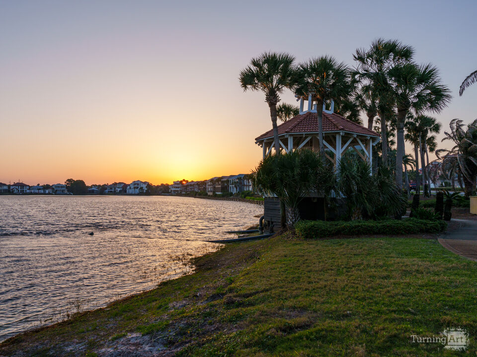 Palms Catching Sunrise In Destin