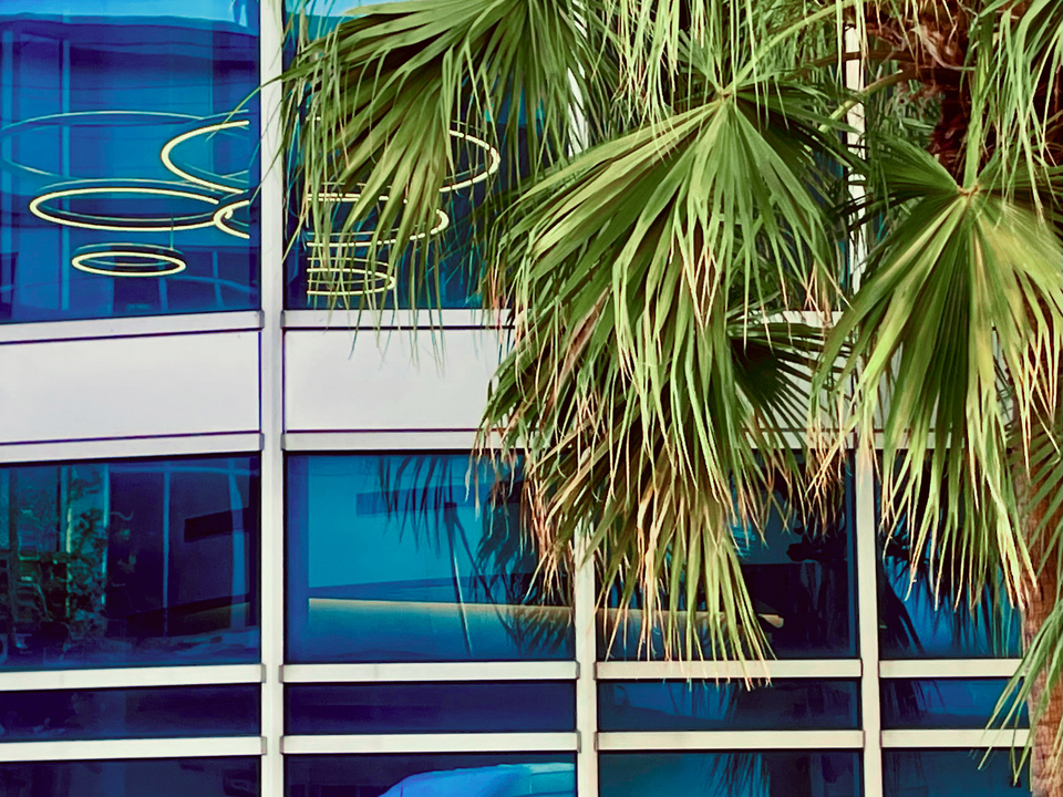 Tampa Reflections