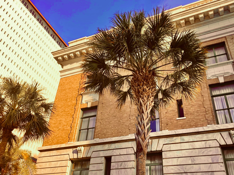 Tampa Heritage and Sky