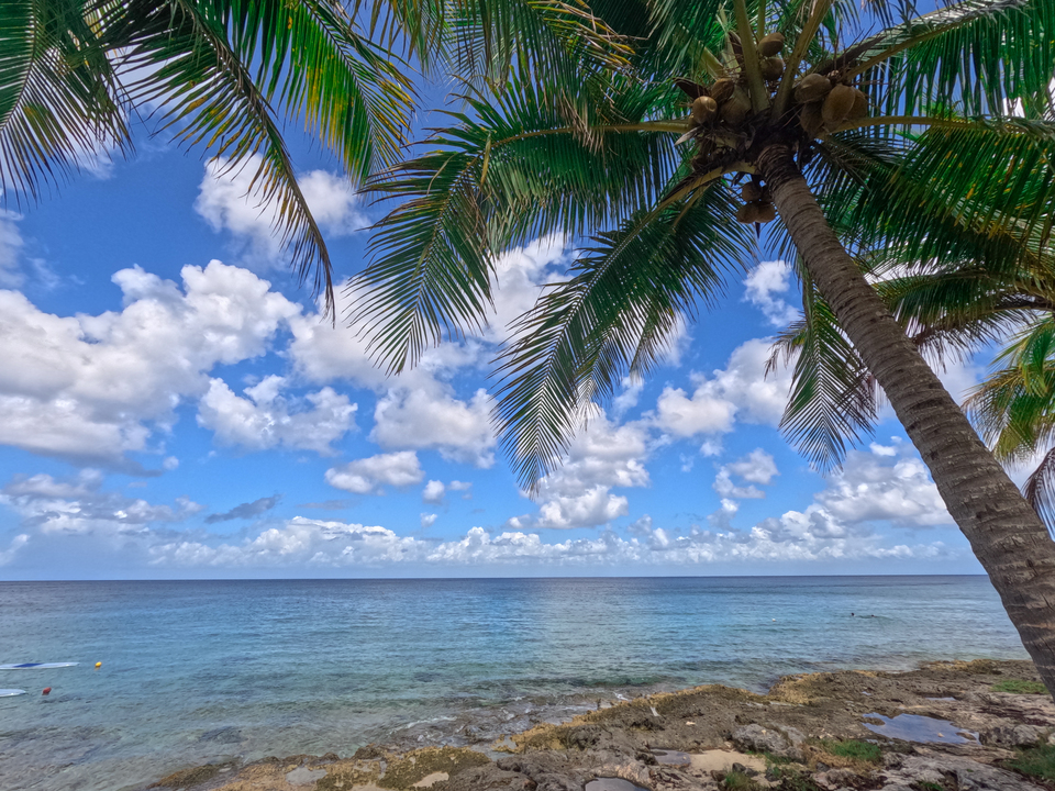 Edge of the Caribbean – Cozumel Shoreline