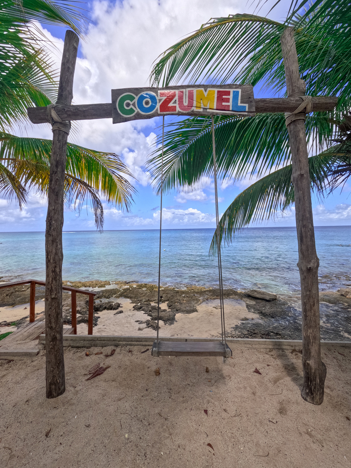 Framed by Palms – Cozumel Beach Swing