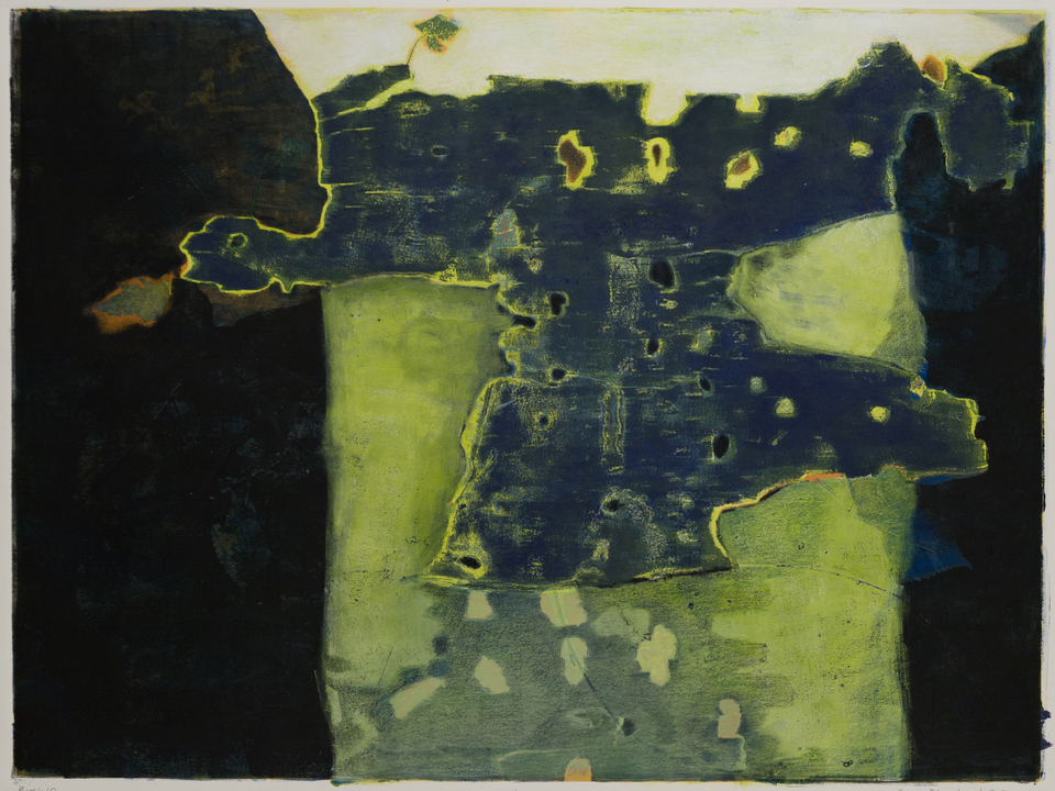 Birch 10