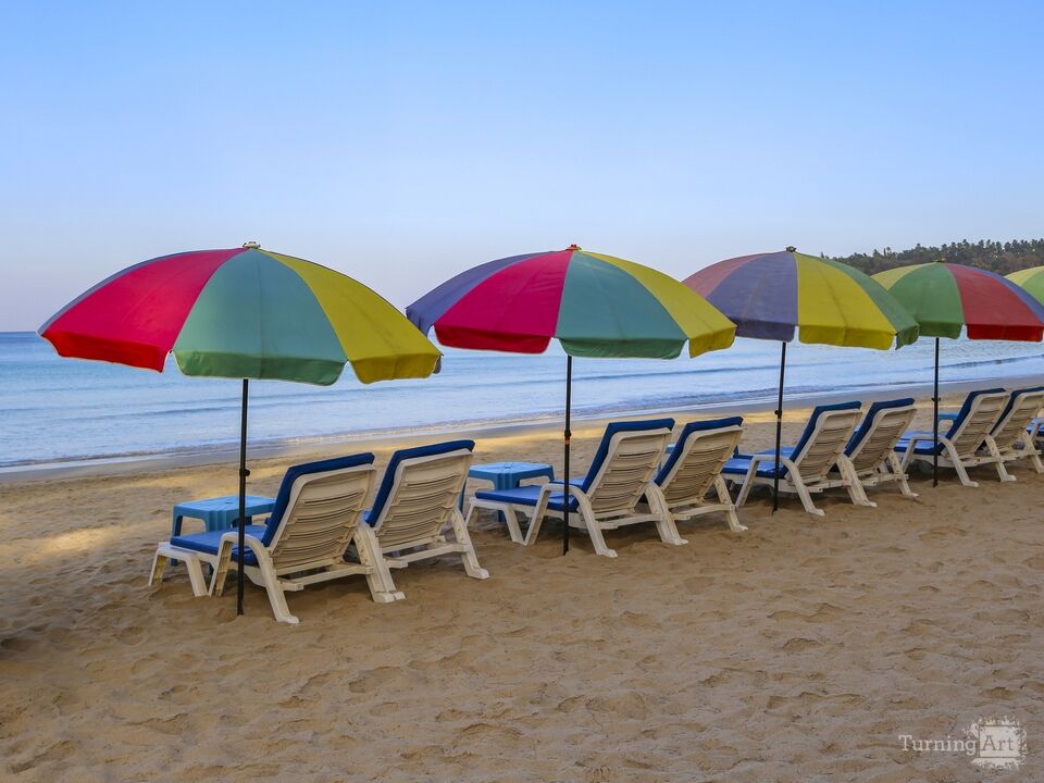 Rows of Beach Chairs