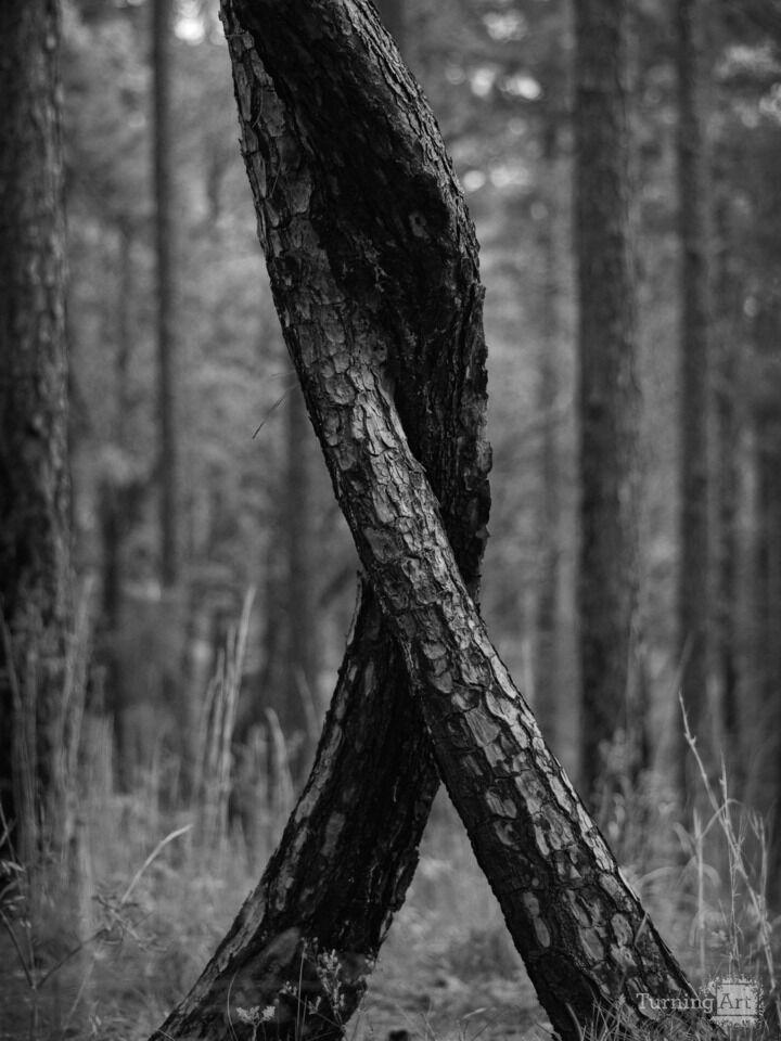 The Embrace- Black and White